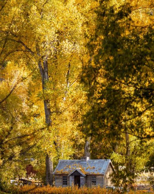 A stunning photo of the Arrowtown Police Hut in autumn