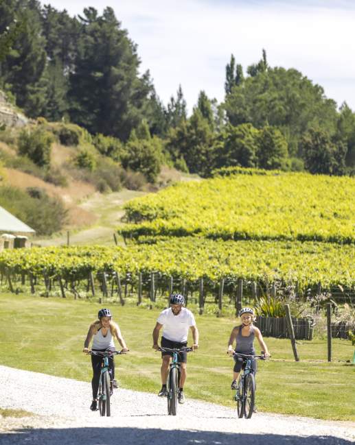 Friends Biking Gibbston Wineries in summer