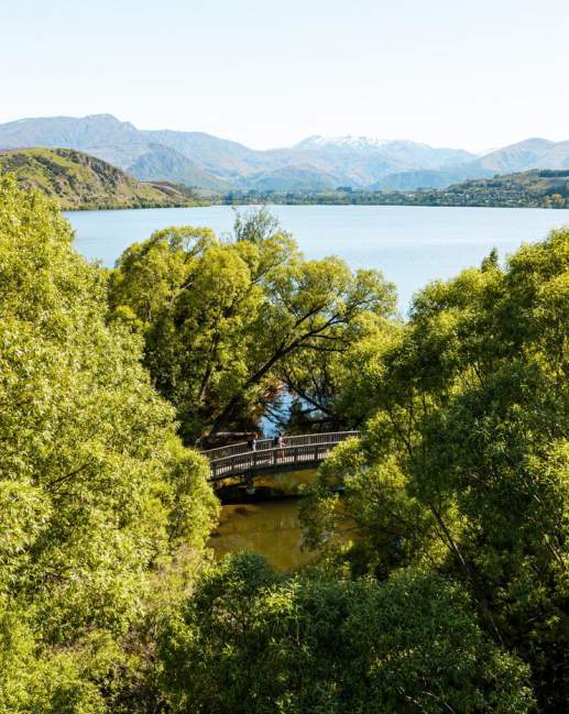 People walking the Lake Hayes loop track surorunded by trees with a view of lake and mountains in the background