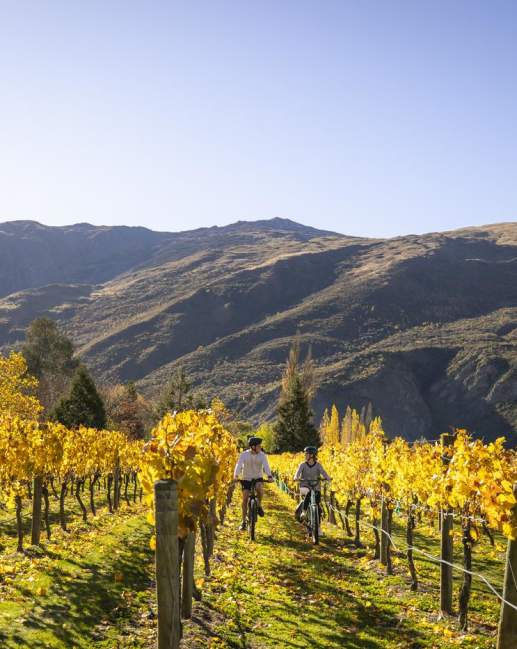 A couple bike through the vines in Gibbston on an autumn day