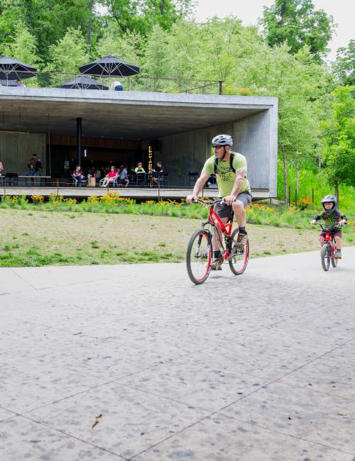 Ride the Loop: Bentonville's Scenic Bike Route