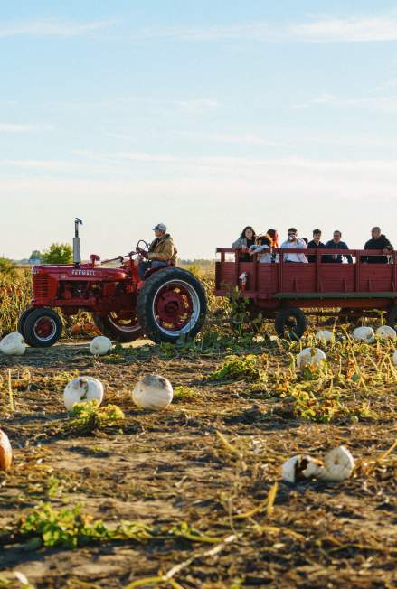 10+ Fall Adventures in Greater Lafayette