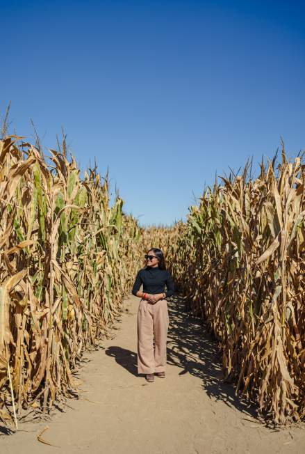 The Best Fall Weekend in Lafayette-West Lafayette, Indiana