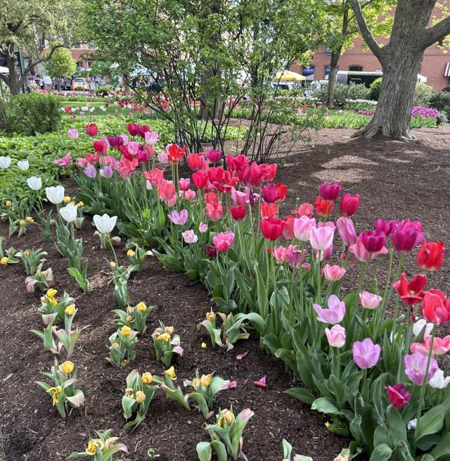 Step Into a Day of Bridgerton Charm in Woodstock