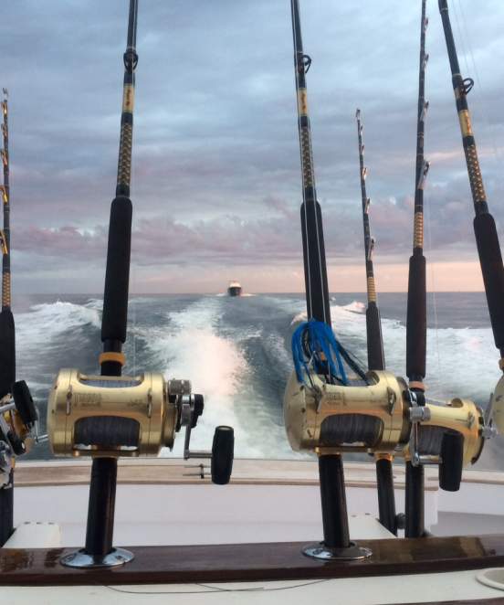 A Fisherman's Paradise