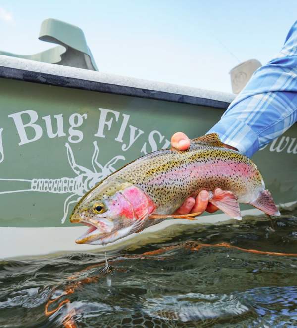 Fishing the North Platte River