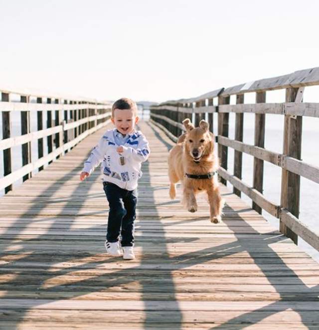 dog and child running on bridge