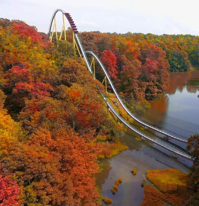 Fall Happenings - Trees with Roller Coaster