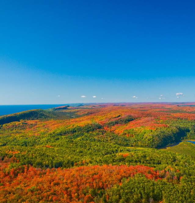 Aerial view of fall colors