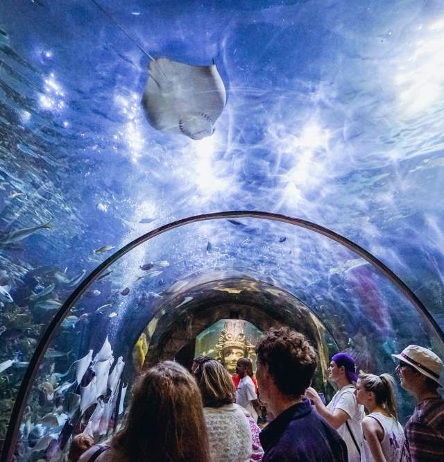 Audubon Aquarium