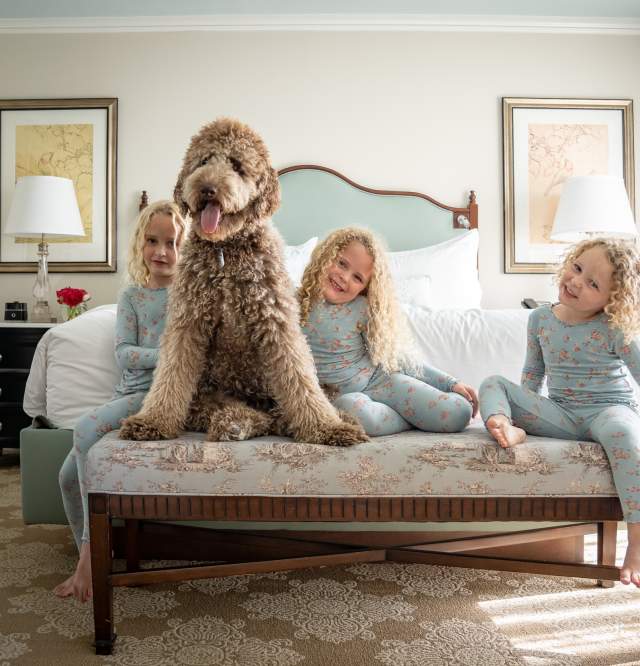 Pampered Pets Program - Windsor Court