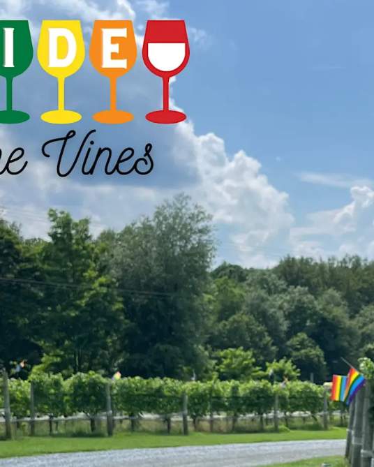 Rainbow Pride flag waving against blue sky with a stemless wine glass in the foreground, Pride in the Vines logo
