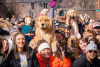 People holding up their dogs for the group photo shoot at Goldens in Golden