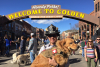 Goldens in Golden Firefighter