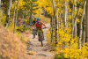 Mountain Bike Golden Trails in Fall