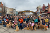 Candid Goldens in Golden group photo