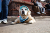 2026-02-07_GiG_Bob-Krugmire (220)