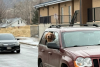 A golden retriever dog with its head out of car window, Castle Rock is in the background in Golden CO