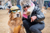 A golden retriever dressed up like a rock star with a costumed owner