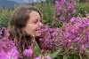 Picking Alaska Fireweed for her wedding on Flower Mountain