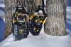 Explore the Pocono Mountians on Snowshoes