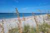 Sea Oats on the beach with blue water and sky in background