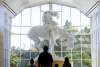 Silhouette of family entering Oklahoma City's National Cowboy & Western Heritage Museum