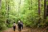 Riverbend Park - Hiking - Park Rangers
