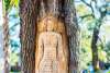 A mermaid tree carving is the most famous of the St. Simons Island Tree Spirits