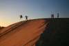 children having fun on a sand dune