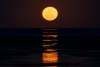 Staircase to the Moon in Roebuck Bay Broome