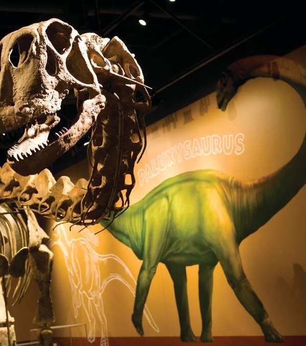 Indoor Activities in Fort Worth