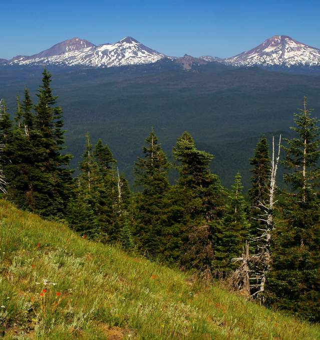 A Local Guide to the Pacific Crest Trail