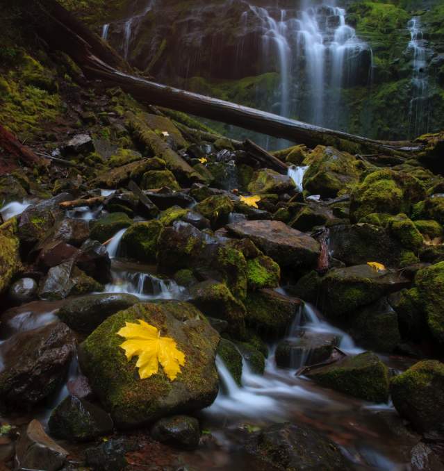 Colorful Autumn Waterfalls