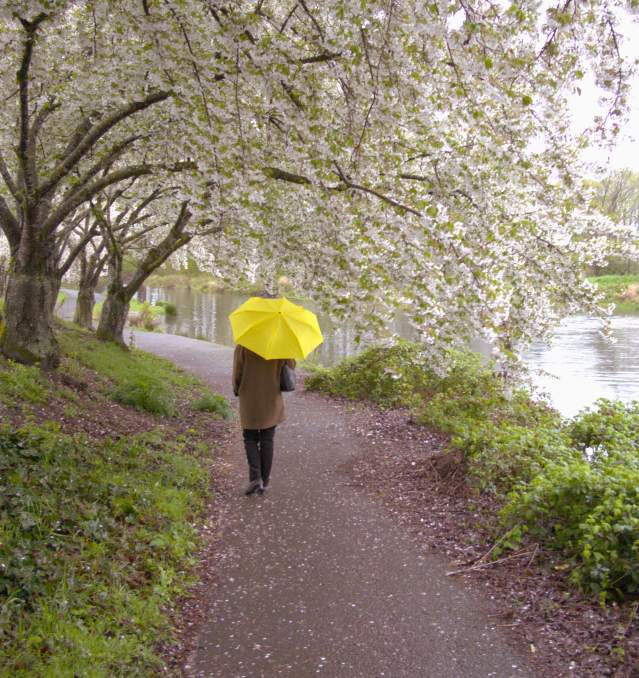 Spring Walk at Alton Baker Park by Guenther Fuernsteiner