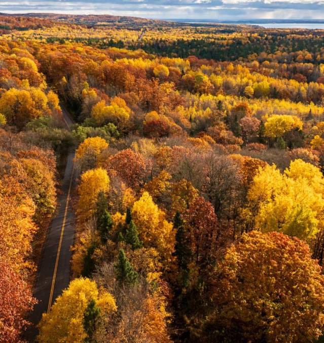 Fall Colors Aerial View