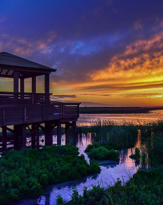 A vibrant sun sets over marshy waters. On the left sits a wooden observation deck.