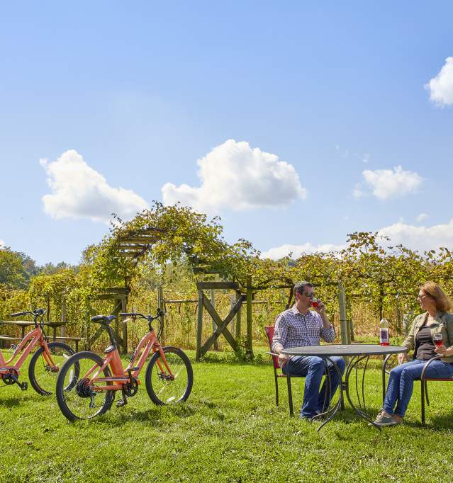 Couple at vineyard with e-bikes