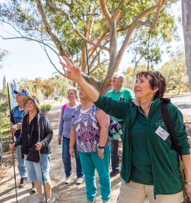Group on a guided walking through Kings Park