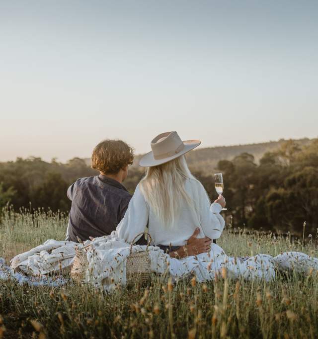 Picnic Overlooking Valley