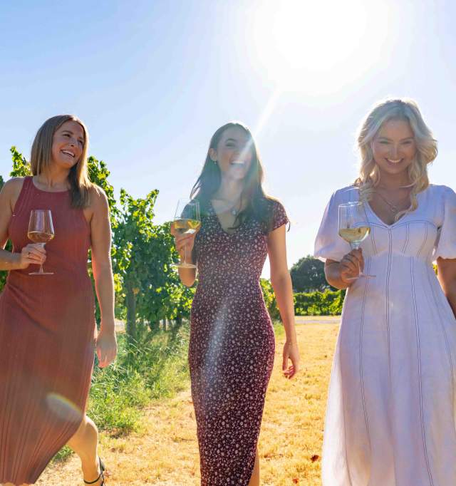 Sealink - Swan Valley Wine Cruise