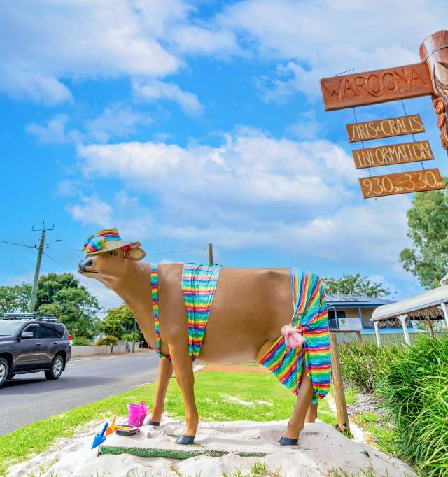 Cow art in Waroona town centre