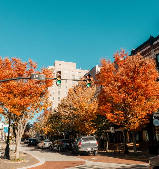 Fall Image Downtown
