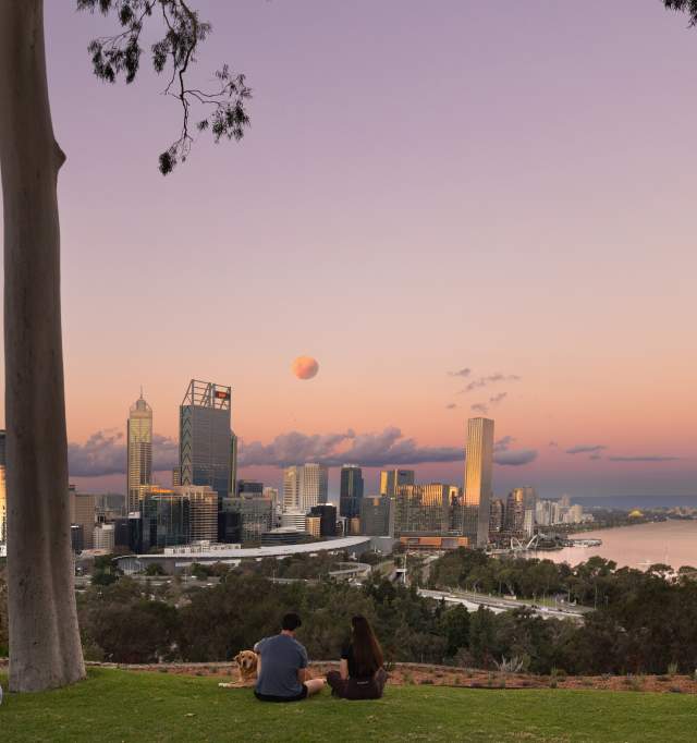 Kings Park Sunset