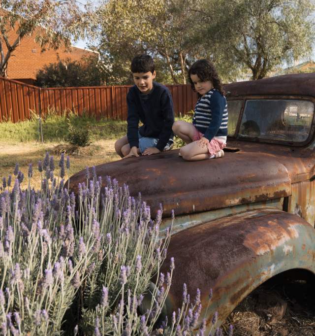 Kids with lavender on old truck in Beverley