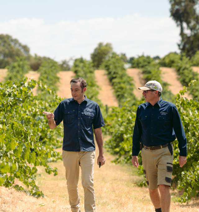 Nikola Estate Winemaker