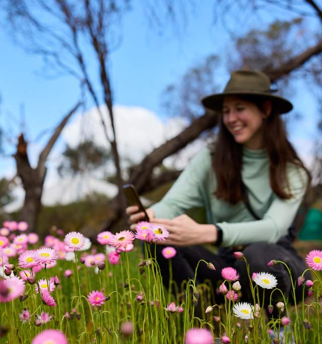 Photos of wildflowers in the Avon Valley