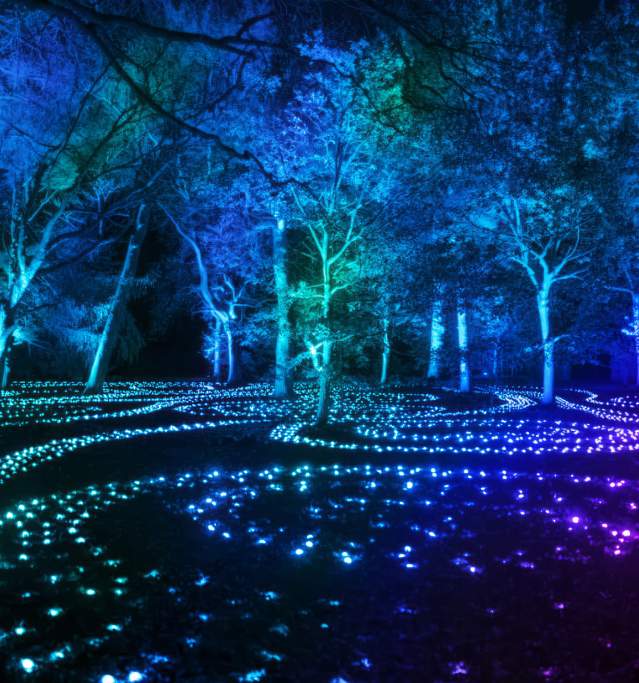 A light display at night with trees and waves of light on the floor