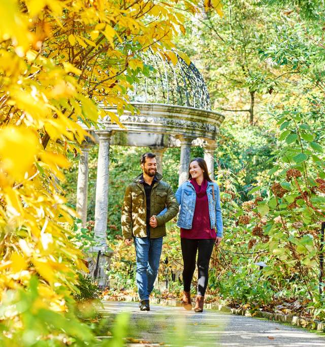 Fall LWG