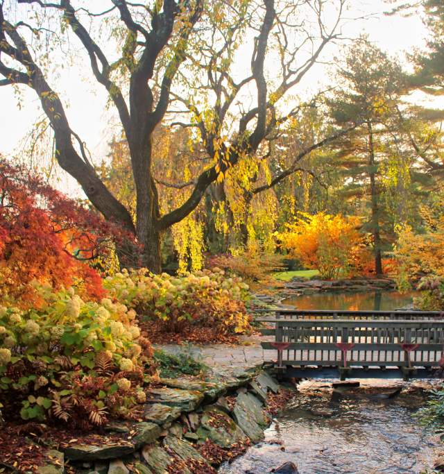 Autumn at Longwood Gardens
